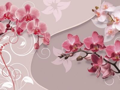 Fototapete Wundervolle Orchideen