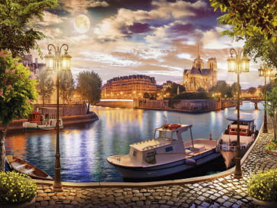 Fototapete Mondscheinabend in Paris