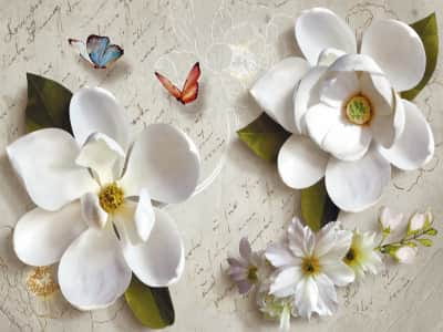 Fototapete Weiße Magnolie 3D