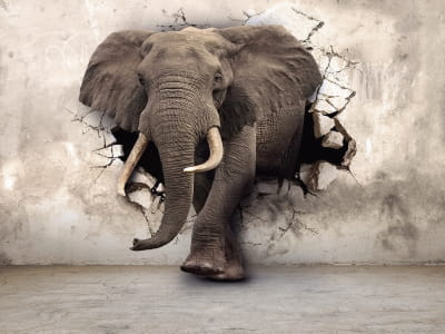 Fototapete Elefant 3D