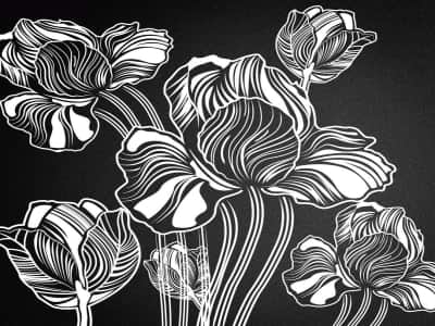 Fototapete Blumen auf schwarzem Hintergrund