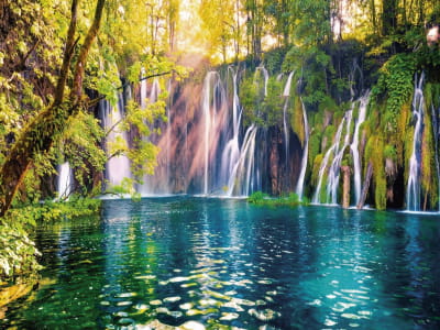 Fototapete Wasserfall im Wald
