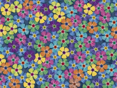 Fototapete Bunte Wildblumen