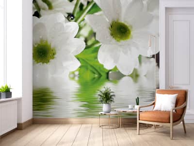 Fototapete Schneeweiße Blumen im Wasser