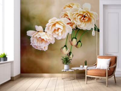 Fototapete Zarte Blumen
