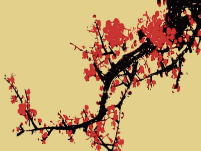 Fototapete Sakura-Zweigzeichnung