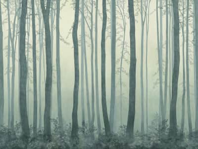 Fototapete Grüner Wald im Nebel