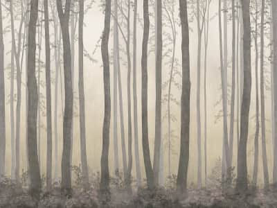 Fototapete Abend in einem nebligen Wald