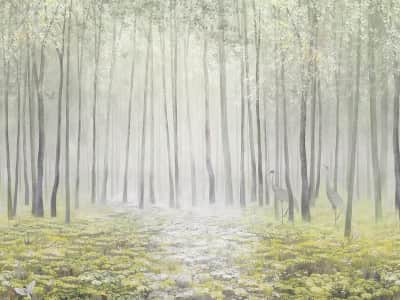 Fototapete Frühlingswald im Nebel