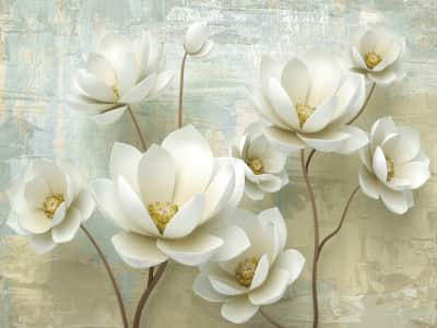 Fototapete Volumetrische weiße Magnolien