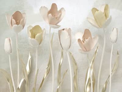Fototapete Anmutige Tulpen