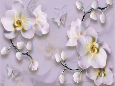 Fototapete Wunderschöne Orchideen 