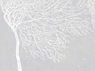 Fototapete Weißer Baum auf grauem Hintergrund