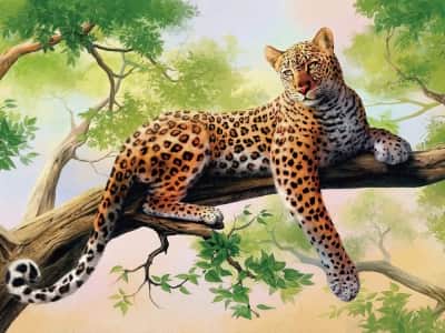 Fototapete Gefleckter Leopard auf einem Baum
