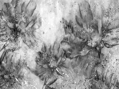 Fototapete Graue Blumen