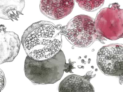 Fototapete Granatapfel-Aquarell