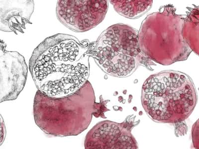 Fototapete Rotes Granat-Aquarell