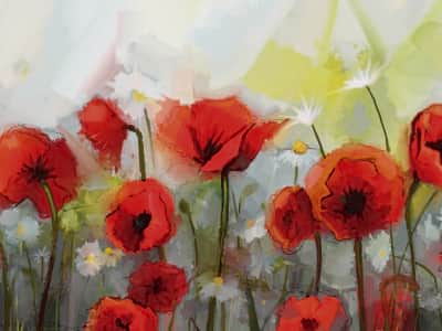 Fototapete Rote Mohnblumen-Aquarell
