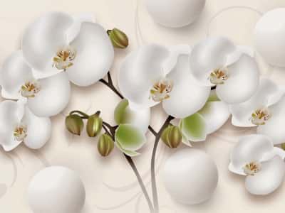 Fototapete Weiße Orchidee und Kugeln