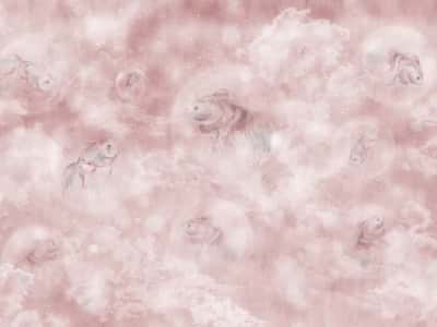 Fototapete Fische auf rosa Hintergrund