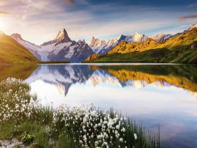 Fototapete Schweizer Alpen