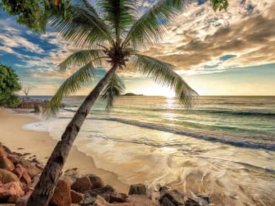 Fototapete Sonnenuntergang über tropischem Strand