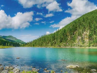 Fototapete Frühlingslandschaft