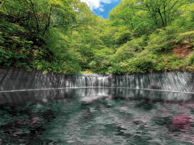 Fototapete Shiraito-Wasserfälle