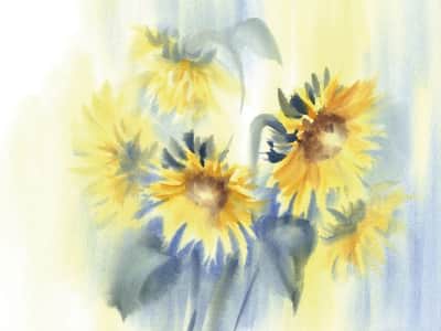 Fototapete Sonnenblumen, Aquarell