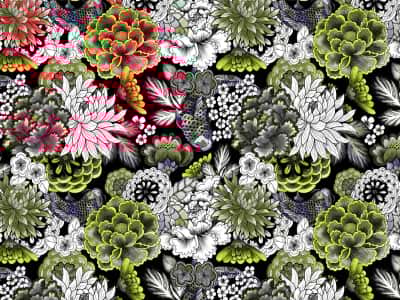 Fototapete Bunte Chrysanthemen