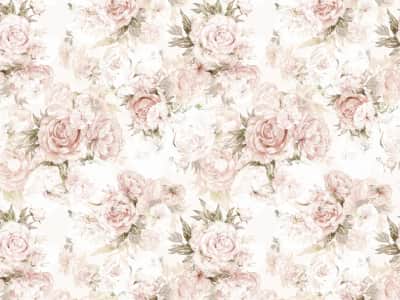 Fototapete Zarte Rosen auf weißem Hintergrund