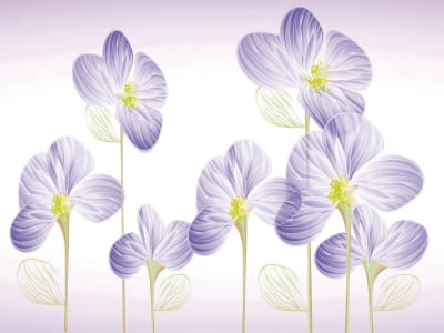 Fototapete Wunderschöne wilde Blumen