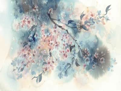 Fototapete Sakura-Blüten-Aquarell