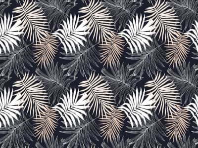 Fototapete Trockene Palmblätter