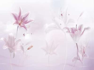 Fototapete Wunderschöne Lilien