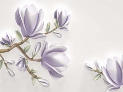 Fototapete Zarte Magnolien