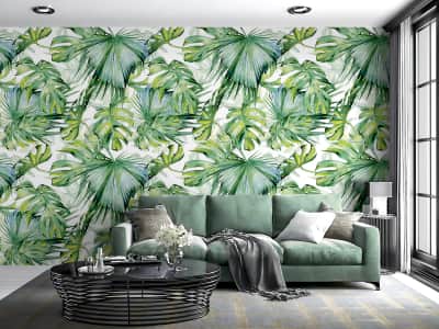 Fototapete Hellgrüne Monstera-Blätter