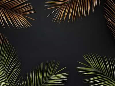 Fototapete Goldene helle Palmblätter