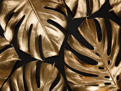 Fototapete Goldene Monstera-Blätter