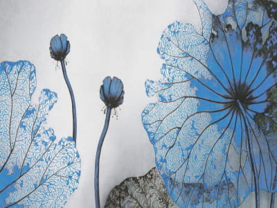 Fototapete Blauer Lotus