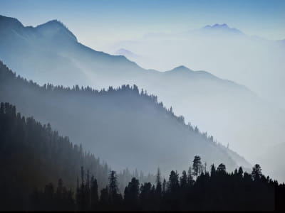 Fototapete Nebel in einem Bergtal