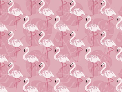 Fototapete Flamingo auf rosa Hintergrund