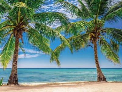Fototapete Oase an einem tropischen Strand