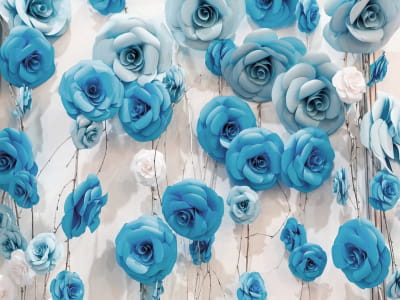 Fototapete Wand aus blauen Rosen
