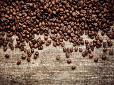 Fototapete Schokoladenkaffeebohnen