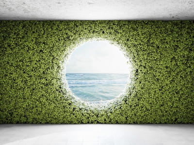 Fototapete Meer hinter der grünen Wand