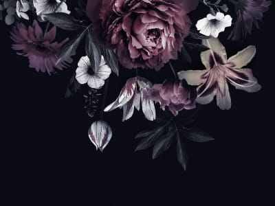 Fototapete Blumen im Dunkeln