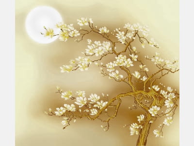 Fototapete Goldene Magnolienblüte