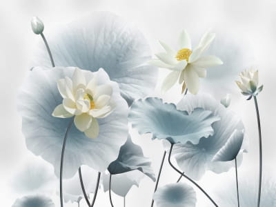 Fototapete Weißer Lotus