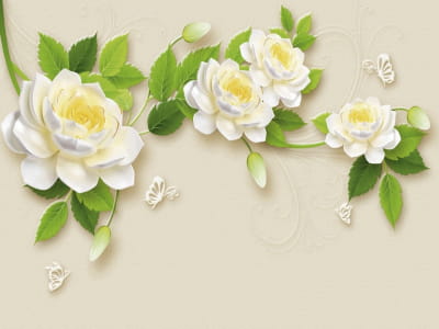 Fototapete Wunderschöne Rosen 3D